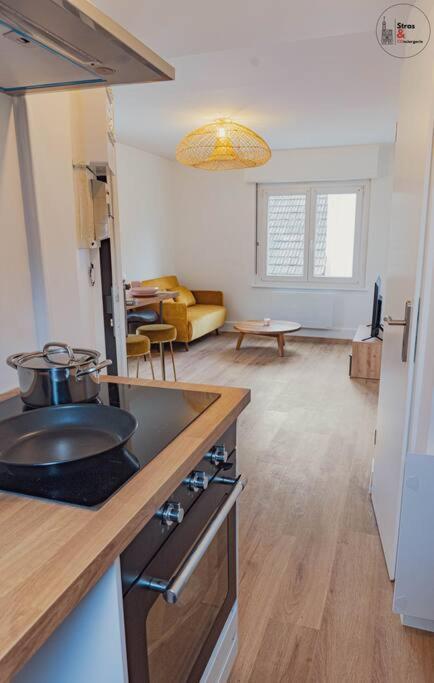 Le Reflet Chic - 2 Pieces Neuf - Quartier Calme A 5 Min De Strasbourg *